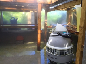 Hydrofogger humidifier.