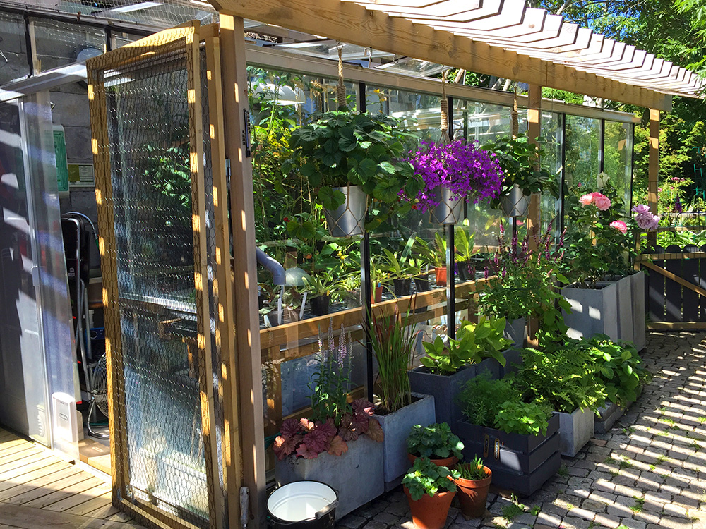 greenhouse 2015